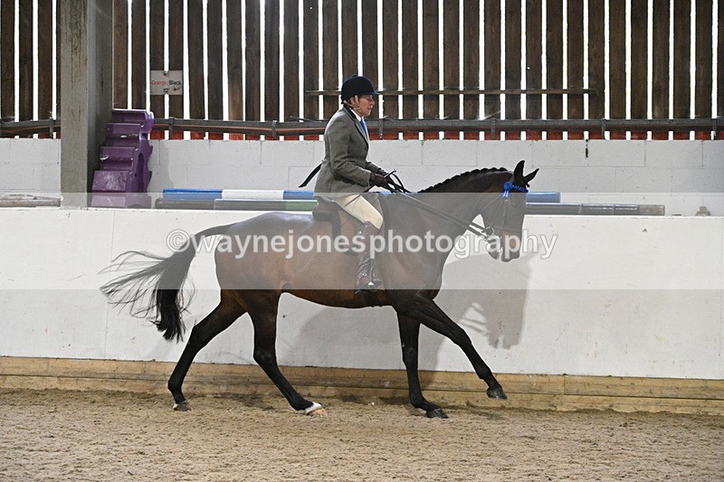 WJ7_4305 - Class 17 Ridden Cob