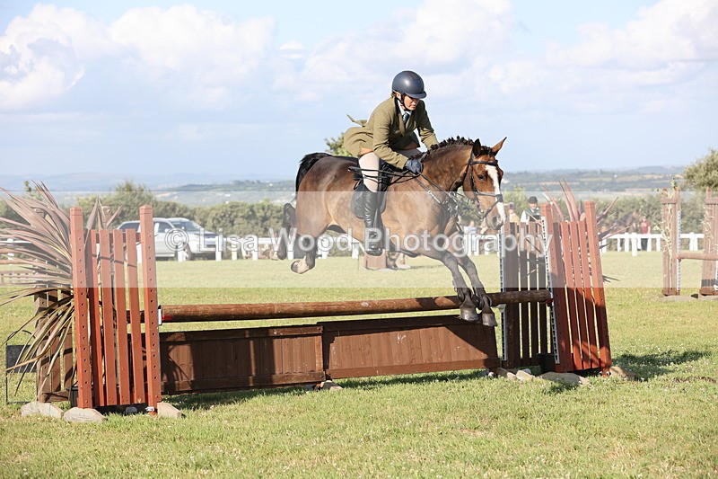 JPP_3131 - Class 21: Working Hunter 80cm