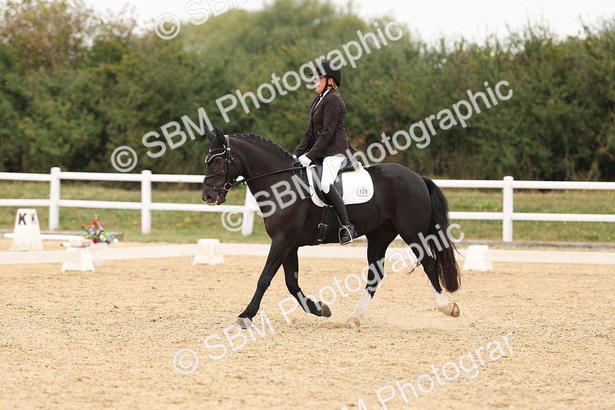 SBM_00947 - Class 8 - Novice 27 Champs