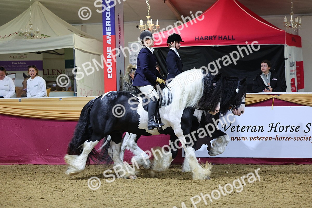 0B8A4351 - Class M Ridden Pairs Champ