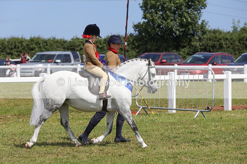 1X9A3865 - Plaited Mini Ridden Championship