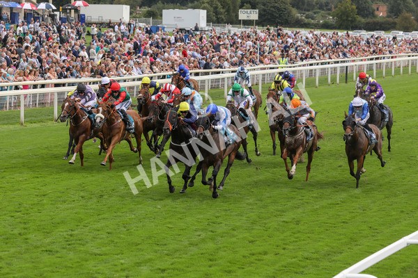 240823-Race 3-Ropey Guest-5169 - Race 3 3.00pm Clipper Handicap