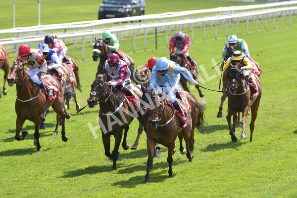 yr13052021r1-31 - Race 1 1.40pm The Matchbook Betting Exchange Stakes