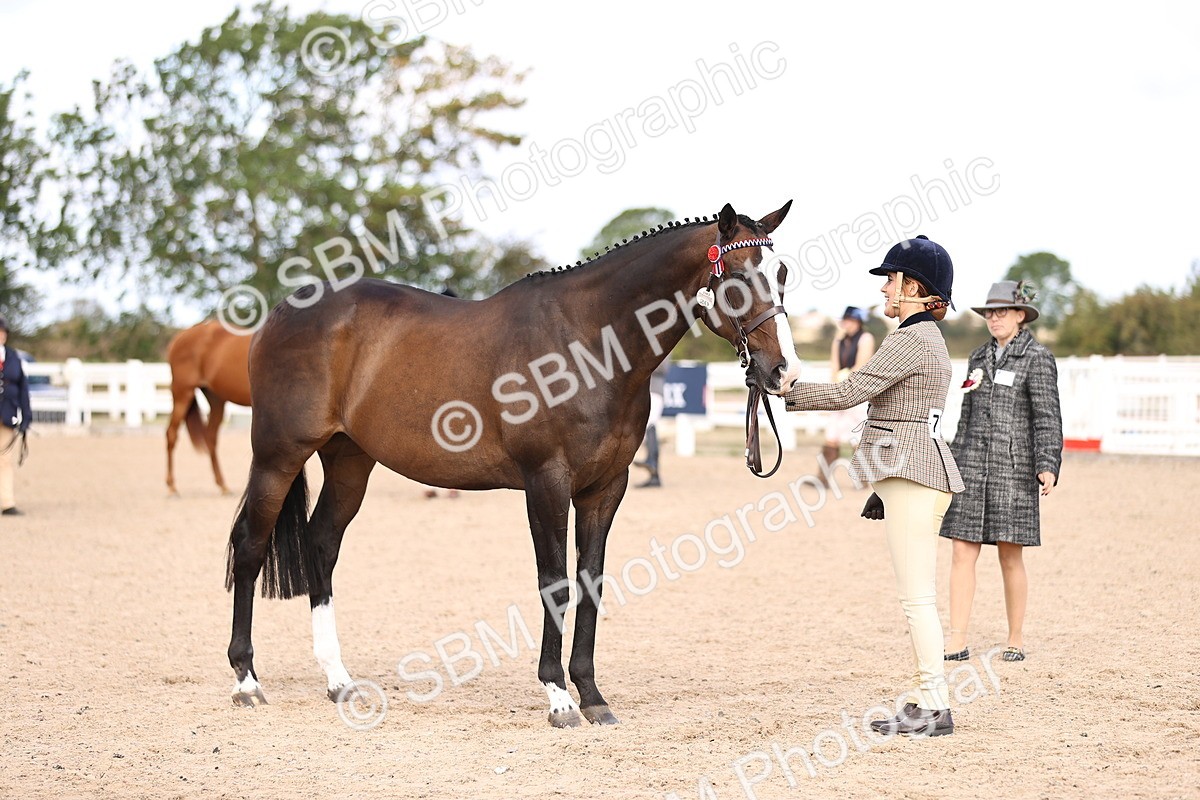 SBM_11539 - Class 407 - IH Hack-Riding Horse