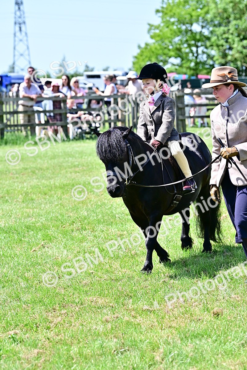 SBM_05938 - Class 59-60 - TSR M&M  Lear Rein and First Ridden Amateur of the year