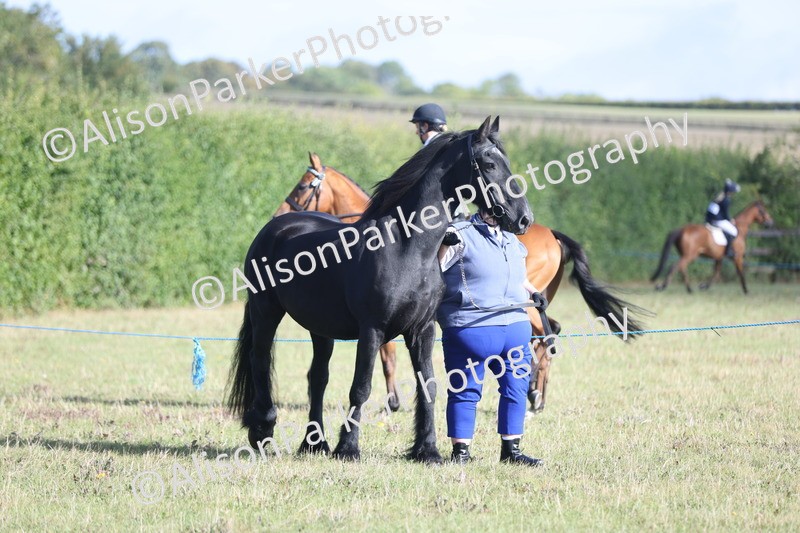 20250831-1351 - Class 21 - Inhand Open