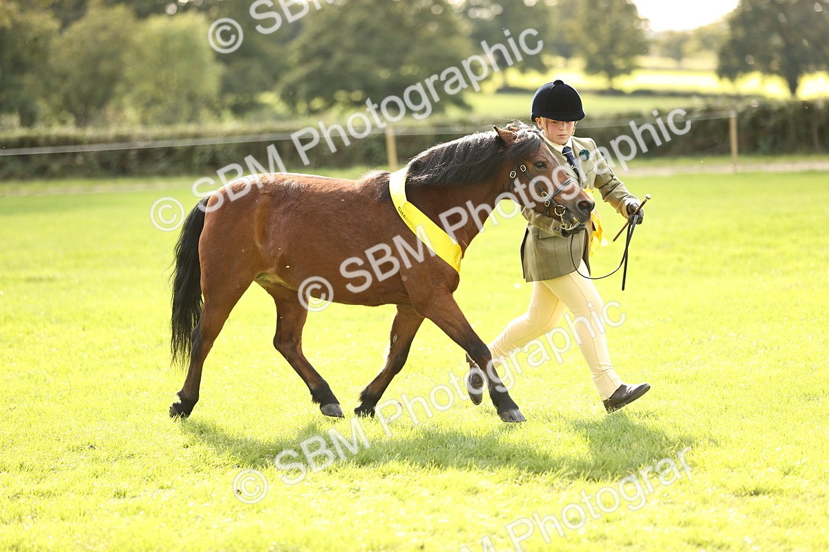 SBM_26302 - S5 - Novice & Newcomers In Hand