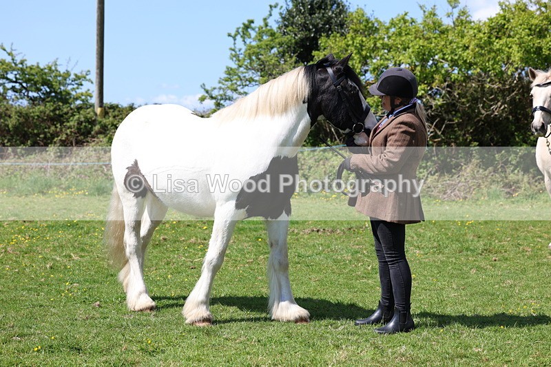 3E7A0331 - Class 19: Best Coloured in Hand