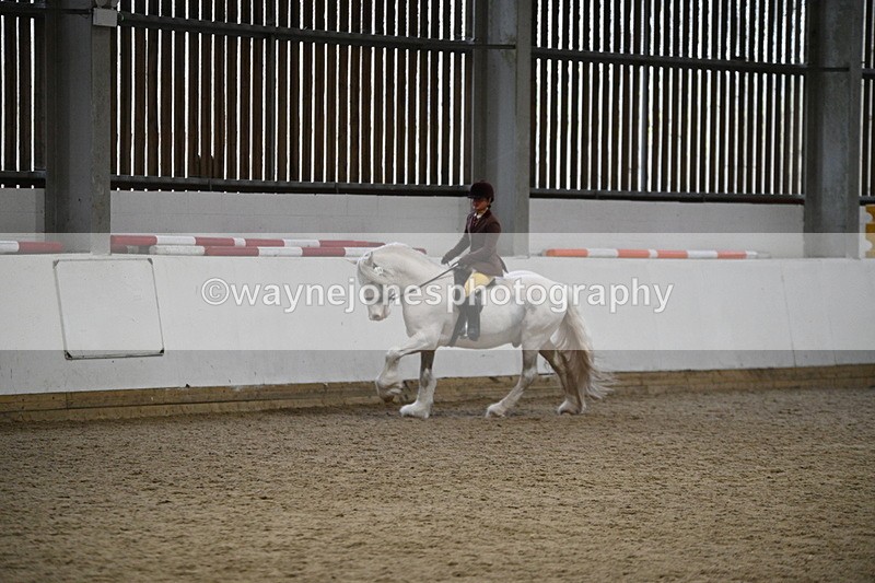 WJ7_3675 - Class 16 Ridden Coloured/ Odd Coloured