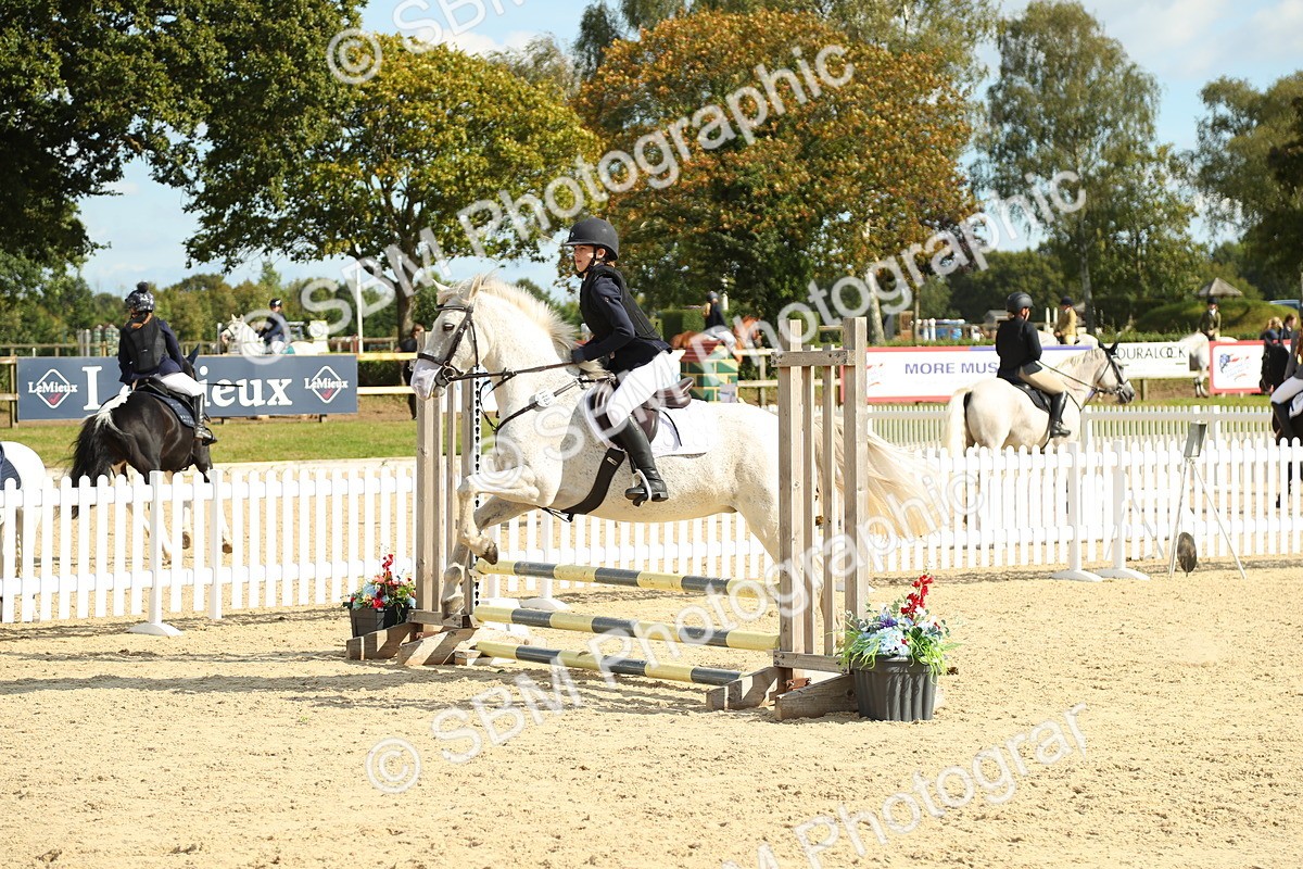 SBM_49452 - J7 - Junior Pony 60cm Championship
