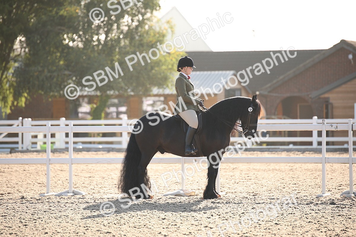 SBM_00612 - Class 14 Ridden M&M Wildcard