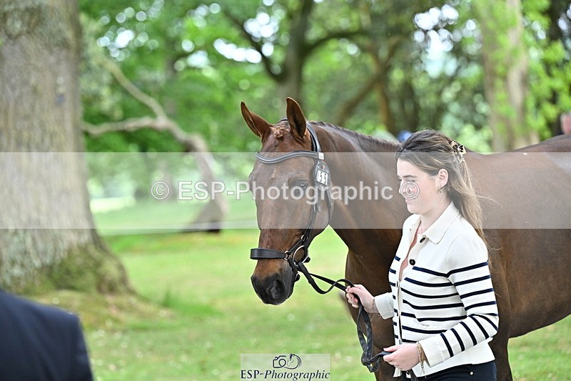 250521A-144239-00184 - A-055-Annabel.Finston-BRAVEHEART.B