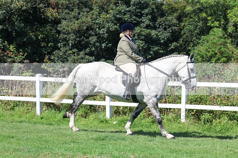 3E7A8373 - Class 4: Novice working Hunter