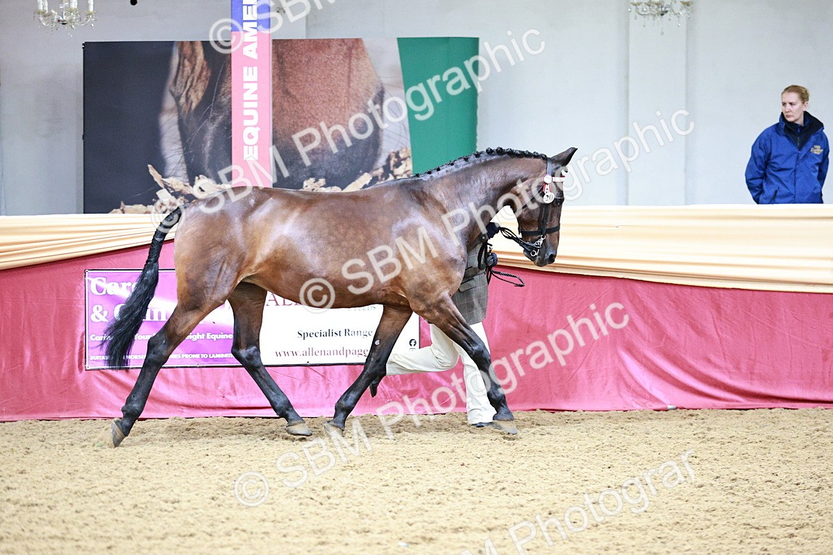 SBM_00875 - Class 2A - Area IH Veteran