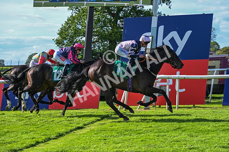 310526-Race 4-Brielle-8874 - Race 4 17.15pm Sky Bet Extra Places Handicap