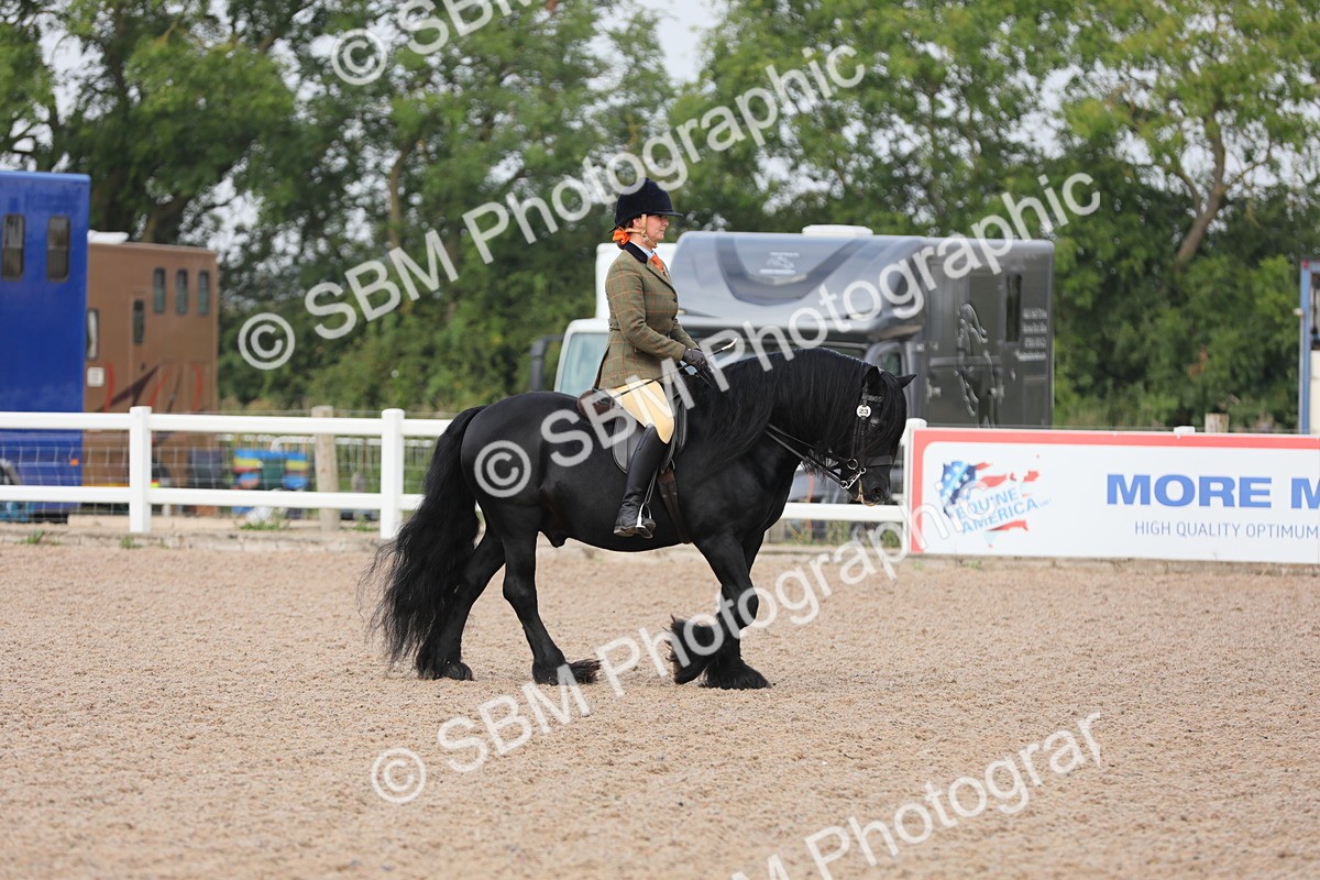 SBM_09972 - Class 302 Ridden M&M -Large Breeds
