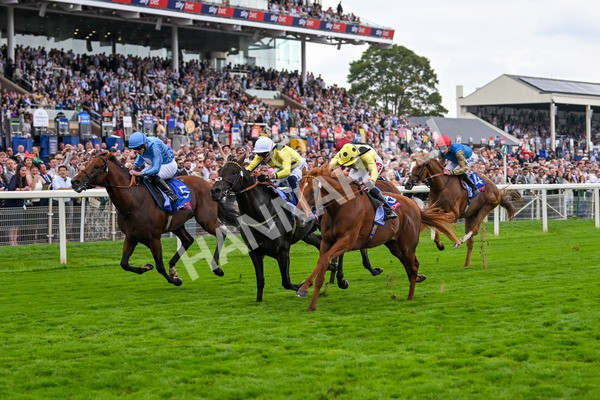 230825-Race 1-King Of Cities-9581 - Race 1 1.50pm Sky Bet Strensall Stakes