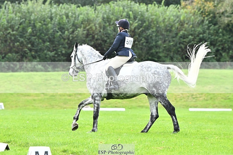 241024-115229-02521 - 510-Kathryn.Virjee-BROWNSTOWNS.SEAWATCH