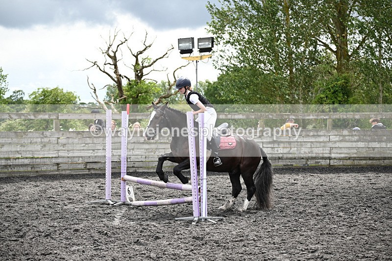 WJ6_0445 - Clear Round 1