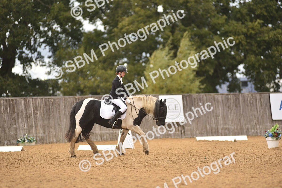 SBM_42546 - D22 - Junior Championship Intro 3