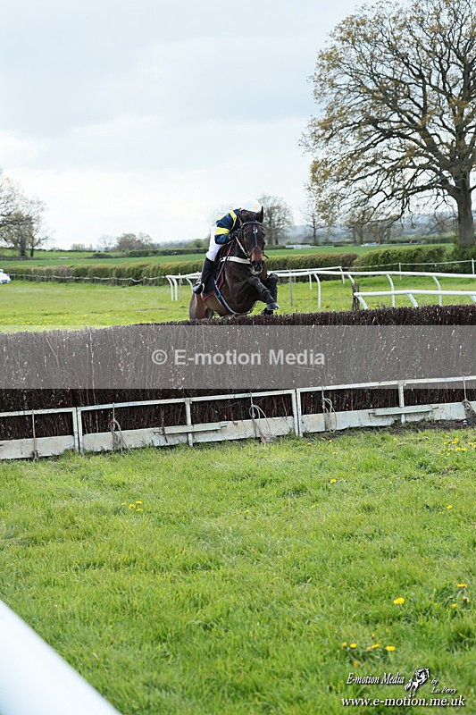PtP 180426 861 - Worcestershire Hunt PtP Chaddesley Corbett 18/04/26