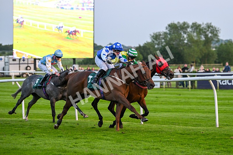 310524-Race 6-Mister Sox-9055 - Race 6