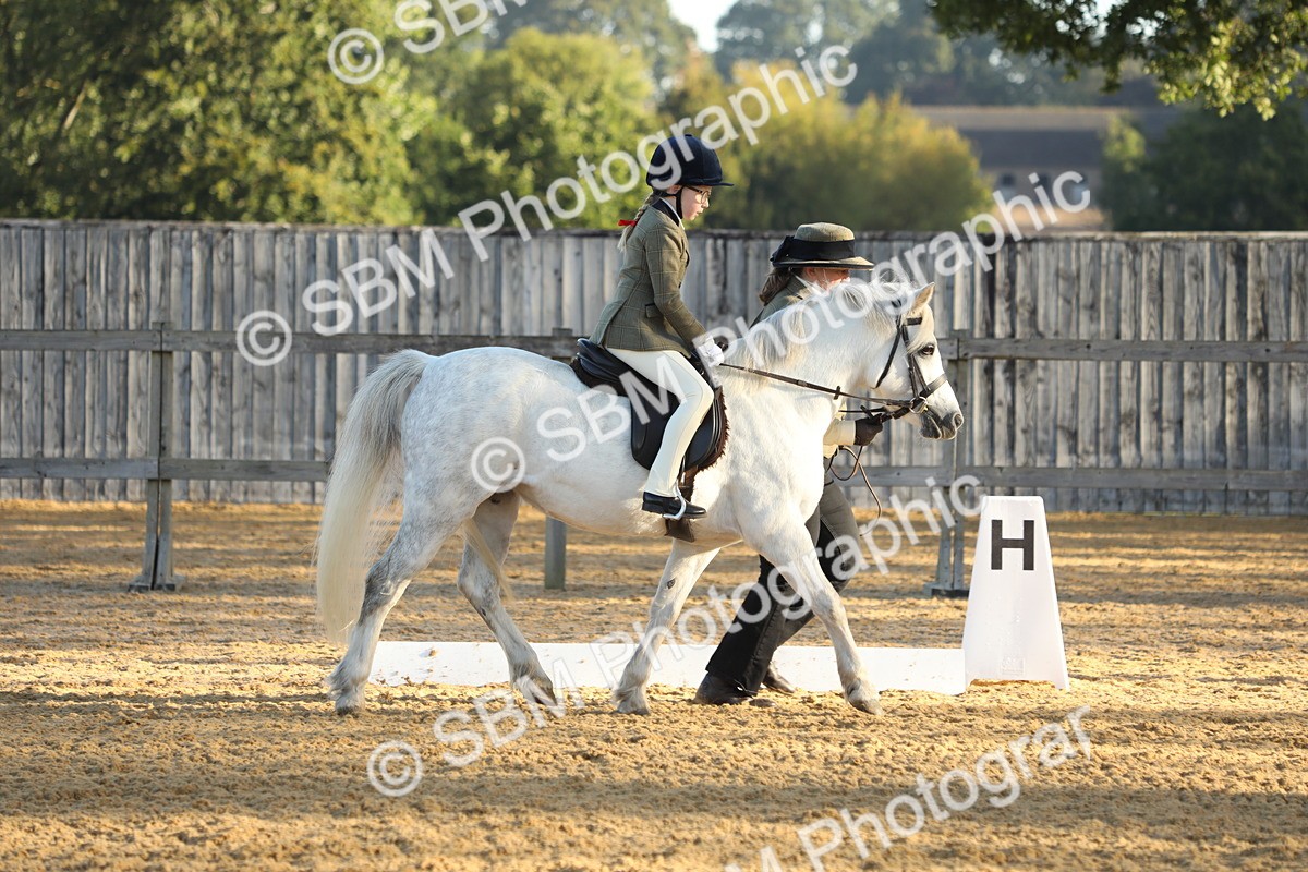 SBM_33595 - D26 - Starers - Lead Rein