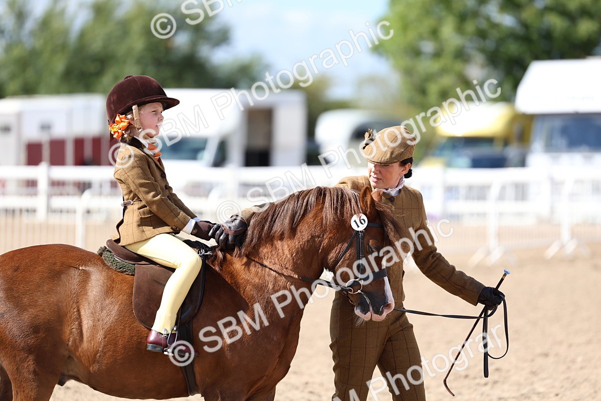 SBM_13023 - Class 309 - Lead Rein Pony