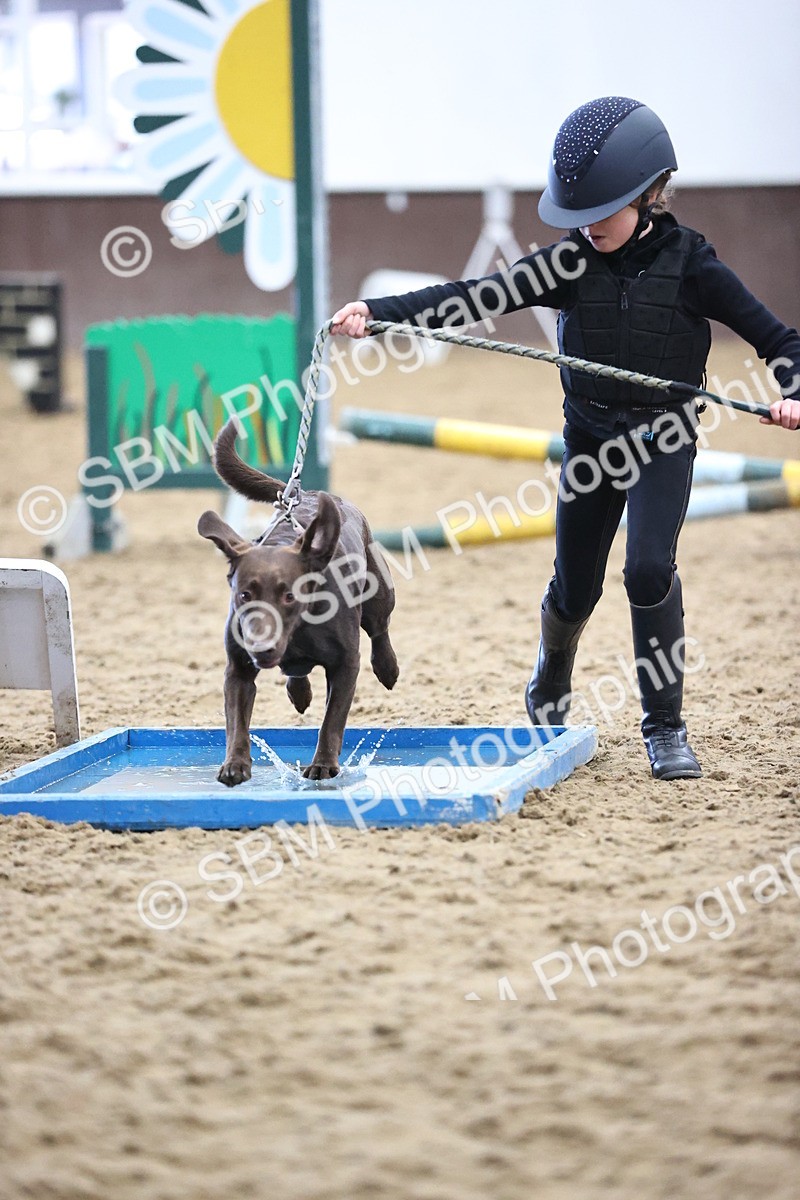 SBM_001394 - Class 3 - Horse & Hound 60cm