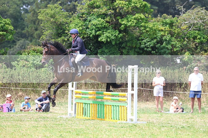 3E7A2973 - Class 7: Senior British Novice/90cm open