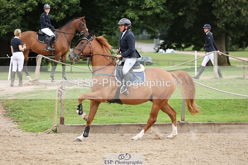 240817-153002-02652 - 06A Snr Fox 1.20m open