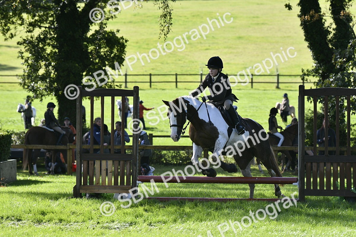SBM_38180 - S31 - Novice & Newcomer Working Hunter Pony