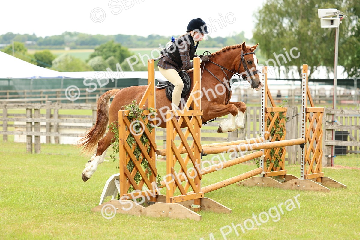SBM_10338 - Class 44-45 - LIHS BSPS Open Nursery and Cradle Stakes