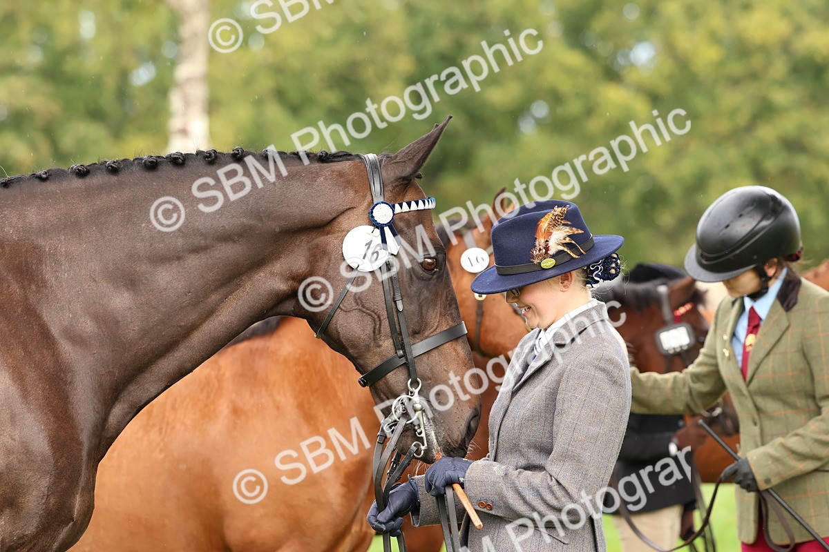 SBM_39324 - S24 - Young Veteran In Hand