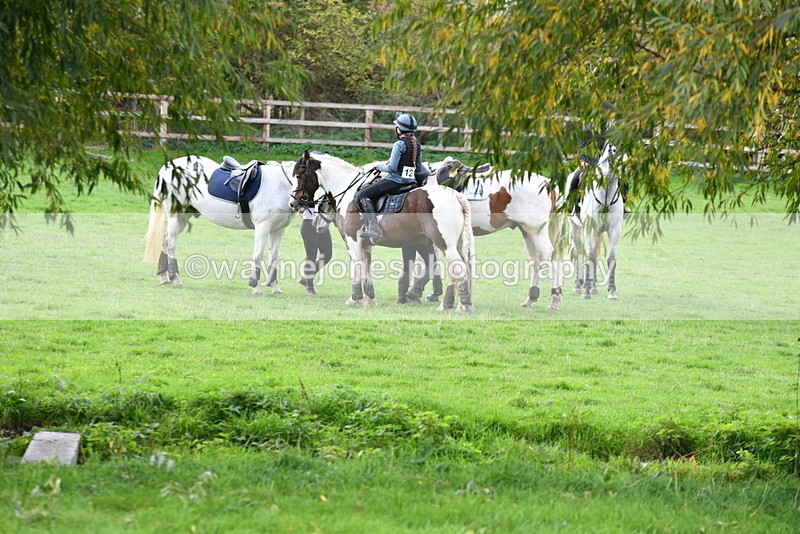 WJ5_8401 - Time 12:02 to 12:32