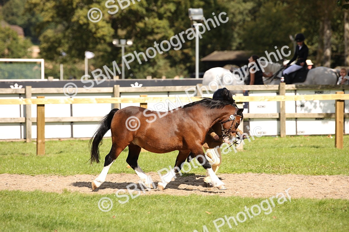 SBM_44380 - S24 - Young Veteran in hand