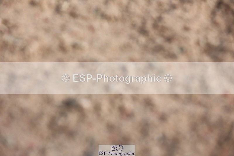 240706A-091832-00172 - Cls 2A Snr Prelim 7 Start to 10 break