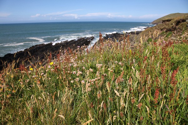 Baggy Point DEV _041 - Devon landscape Photography