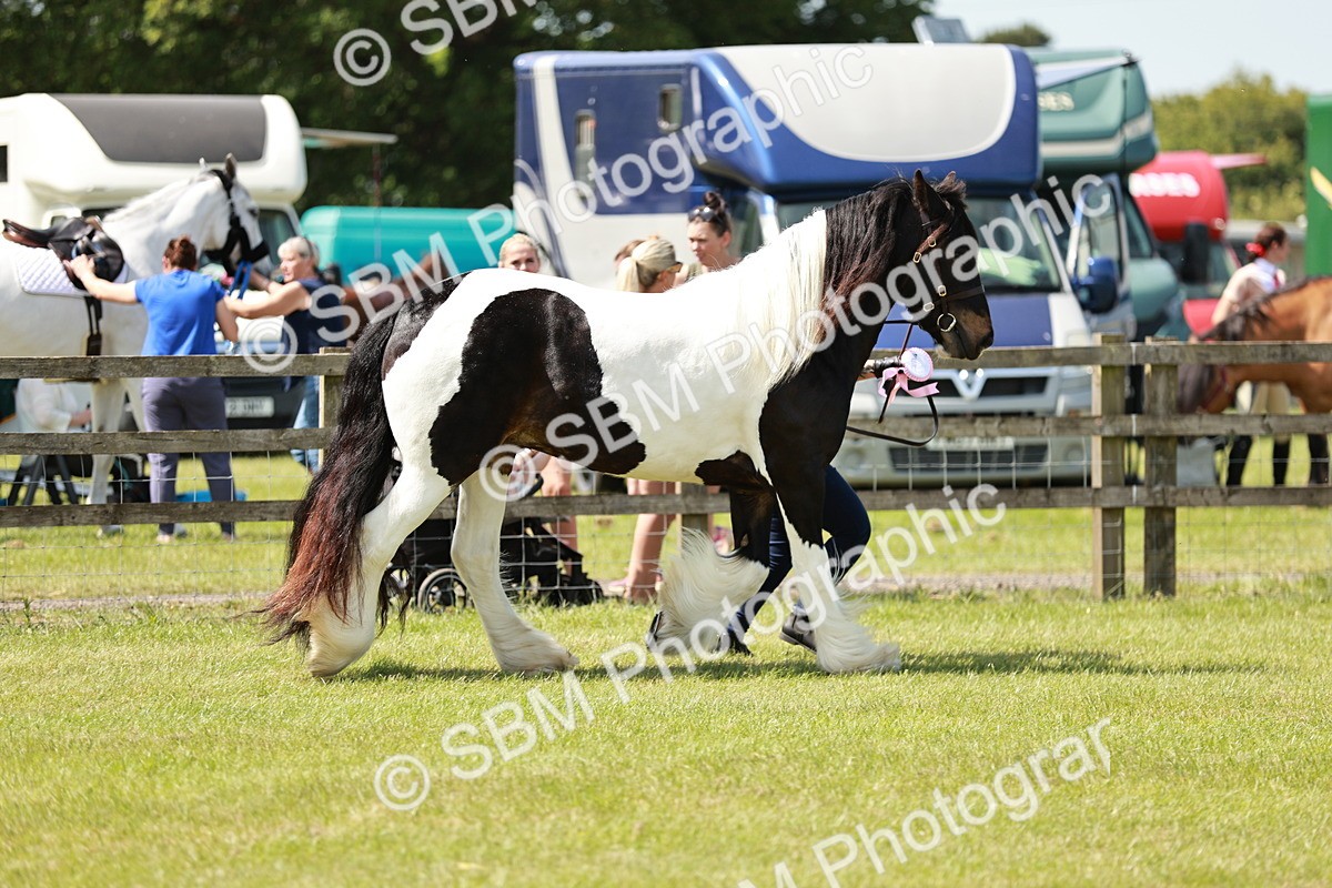 SBM_04307