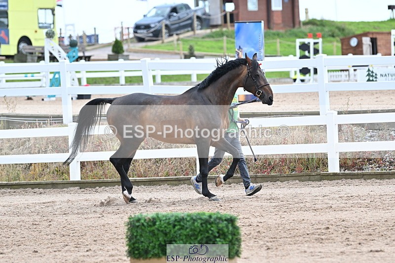 240717A-143111-02100 - Trot Up 2pm to 3pm - This folder is not in time order