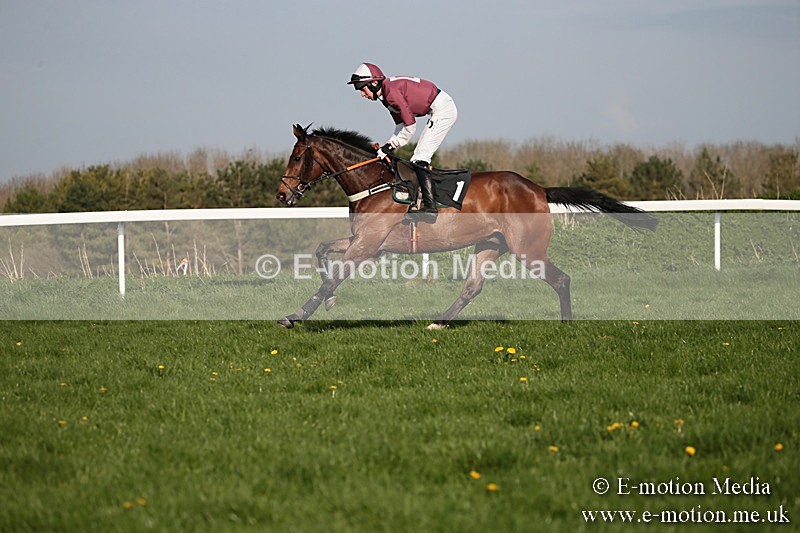PtP 210418 577 - South & West Wilts Point-to-Point Larkhill 21/04/18
