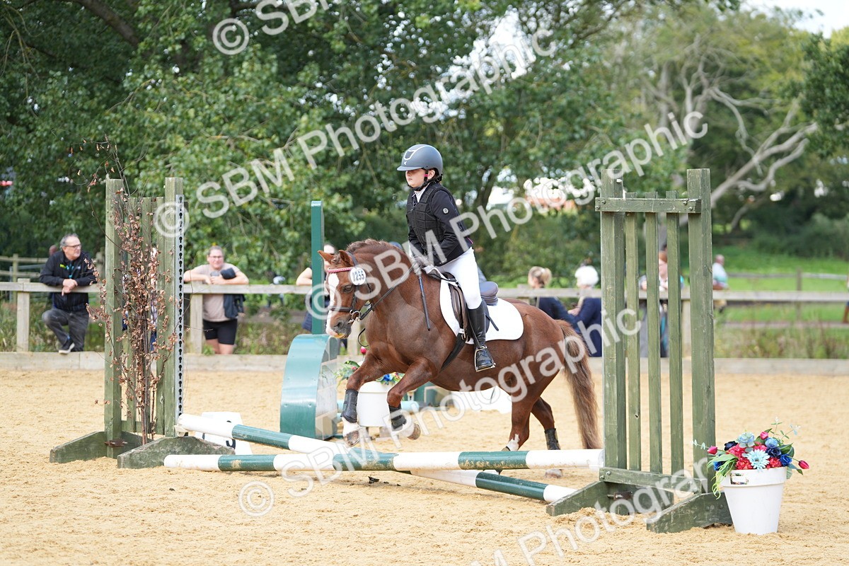 SBM_64382 - J2 - Mini Tour Junior Pony 30cm Championship