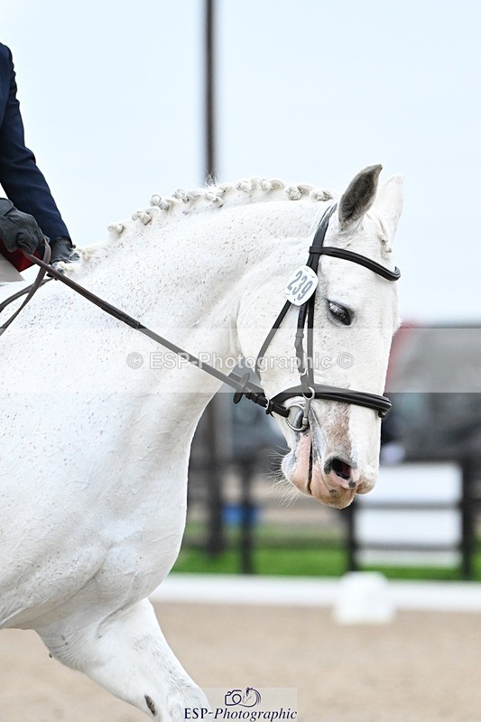 241103-151900-02821 - Prelim 2 - 14.41 to 15.51