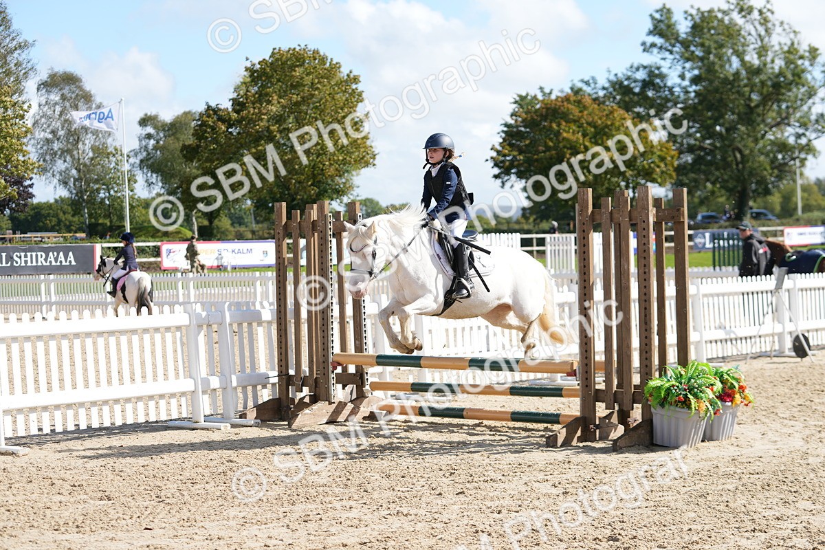 SBM_46537 - J7 - Junior Pony 60cm Championship