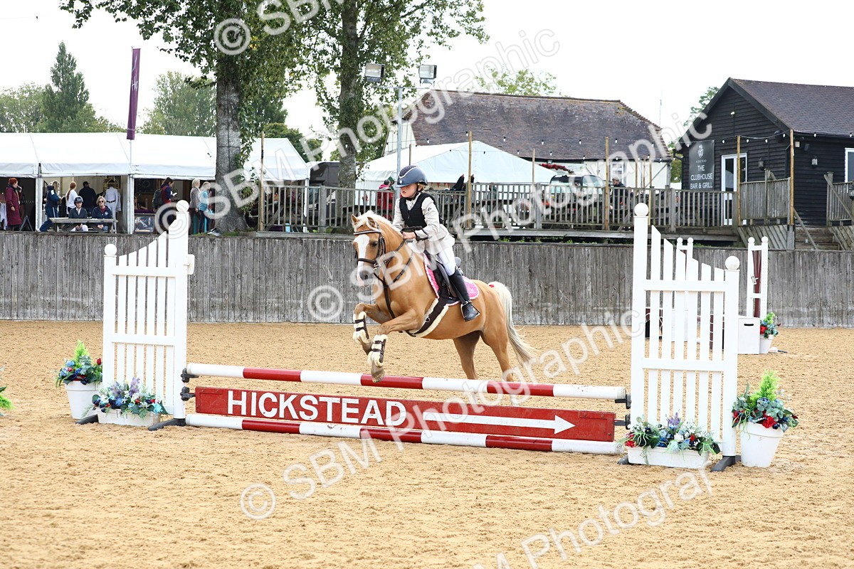 SBM_60010 - J63 - Junior Pony 50cm Championship