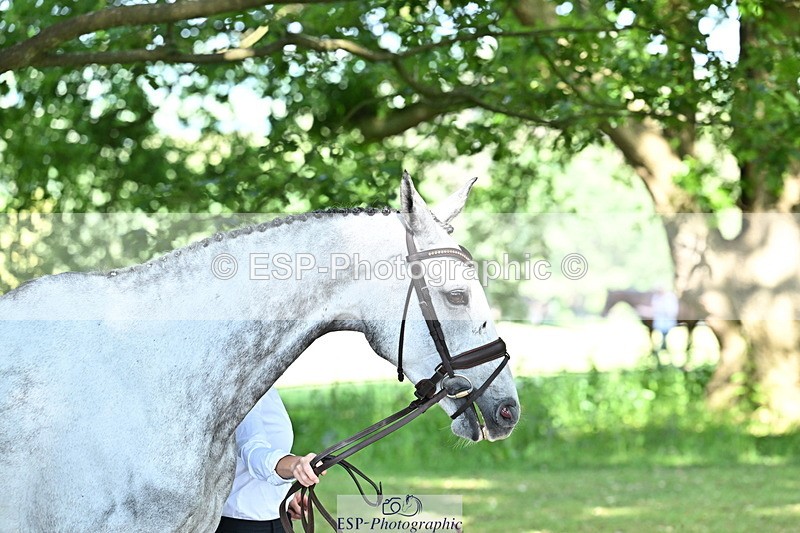 250521A-160135-00870 - C-203-Jonelle.Price-FAERIE.USAIN