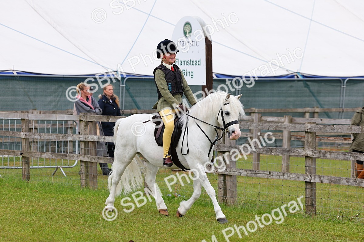 SBM_08515 - Class 42-43 - LIHS BSPS Heritage Working Sports Pony