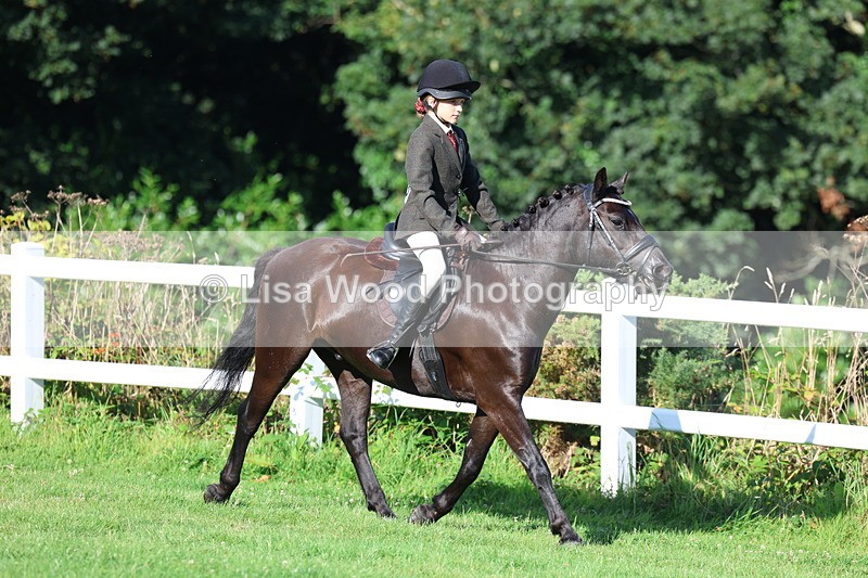 3E7A7565 - Class 1: Novice Working Hunter Pony
