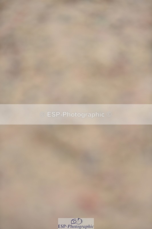 230916A-102720-03406 - Cls 21 British Novice & 90cm Open