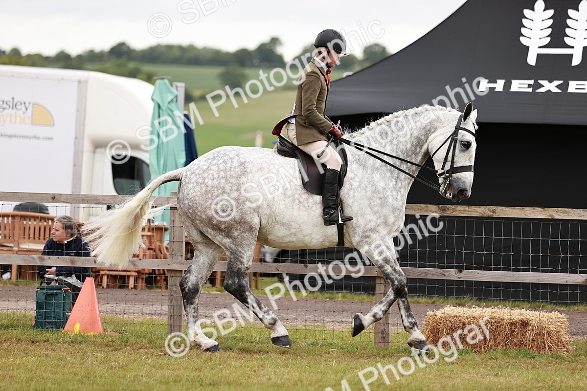 SBM_10915 - Class 81-84 - RIHS Ridden hunters Inc Ladies Hunter